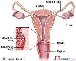 جوانسازی واژن,گشاد شدن واژن,ناحیه تناسلی