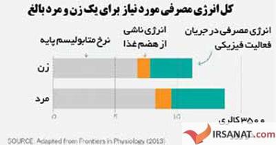 کاهش سرعت متابولسیم, راههای کاهش سرعت متابولسیم