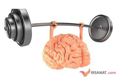 تاثیر ورزش بر مغز