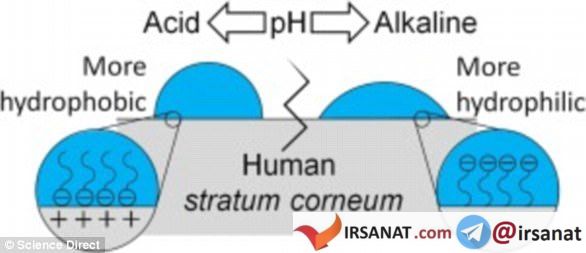 اخبارعلمی,خبرهای  علمی,کنترل رطوبت پوست