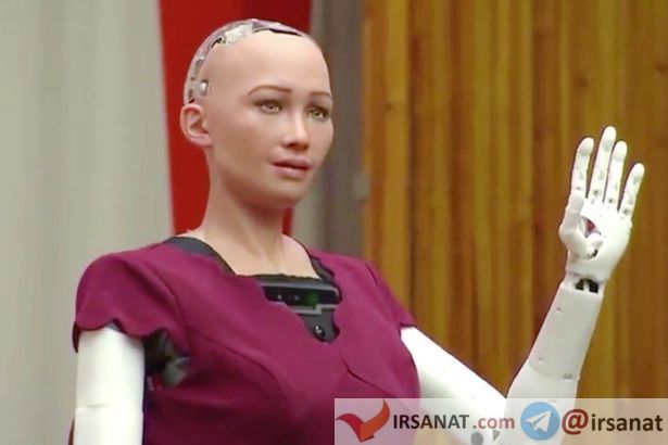 اخبار,اخبار علمی وآموزشی,رونمایی از رباتی که قادر به تعامل با انسان‌هاست