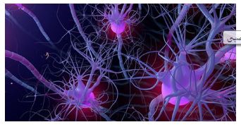 سلول عصبی - نورون