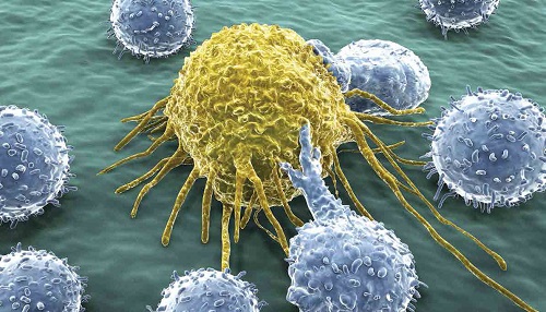 مبارزه با سلول های سرطانی از داخل