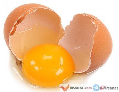 خواص تخم مرغ برای شیرخواران