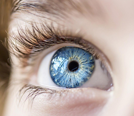 عضلات عنبیه چشم در روز طول 100 هزار بار منقبض و منبسط می شود